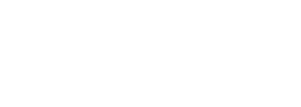 LARES reality